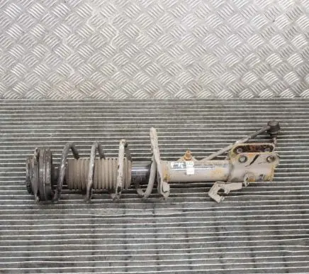 Nissan Juke I F15 Front shock absorber/damper