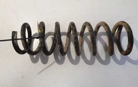 Rear coil spring