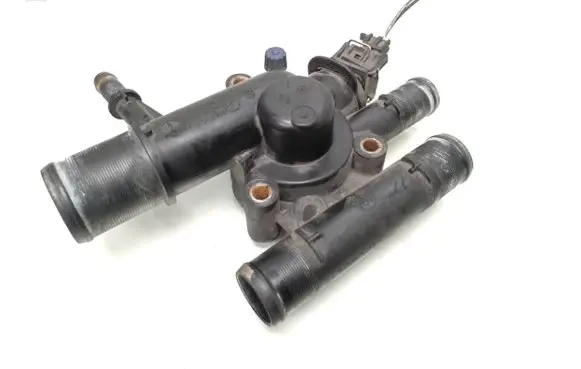 Thermostat/thermostat housing