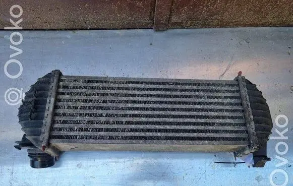 Renault Kangoo II Intercooler radiator 144963234R