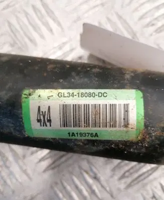 Ford F150 Rear shock absorber/damper 1A19376A