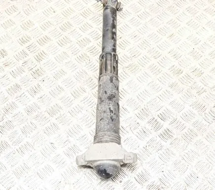 Volkswagen ID.3 Rear shock absorber/damper 1EA513423F 1EA512011AD