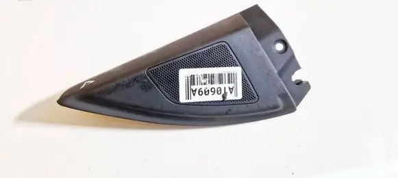 Side speaker trim/cover