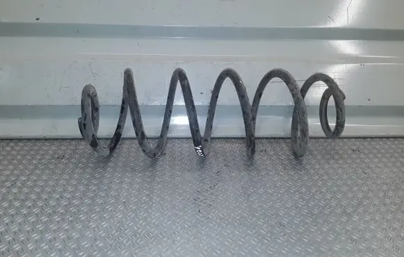 Citroen C3 Picasso Rear coil spring