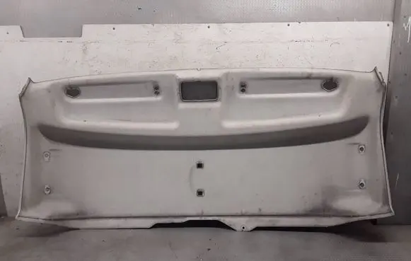 Fiat Ducato Headlining 07355360040