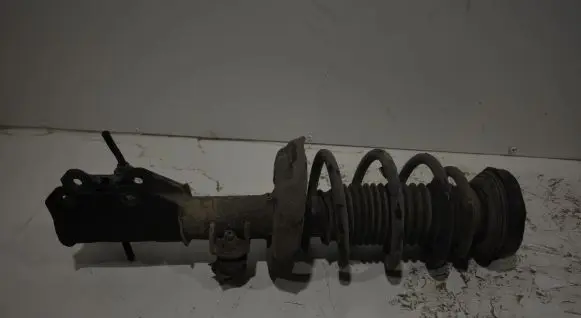 Opel Insignia A Front shock absorber with coil spring
