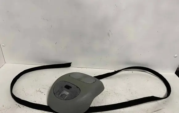 Renault Kangoo I Front seat light 1776