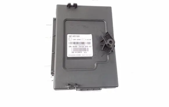 Hyundai Santa Fe Comfort/convenience module 954002W750