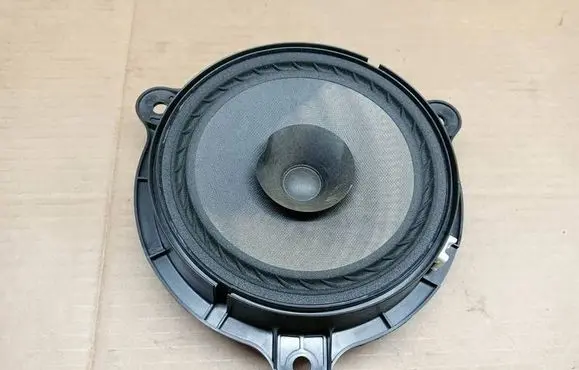 Nissan Juke I F15 Front door speaker 