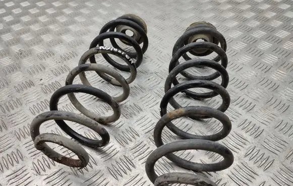 Skoda Roomster (5J) Rear coil spring