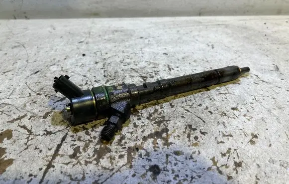 KIA Carens I Fuel injector 0445110064