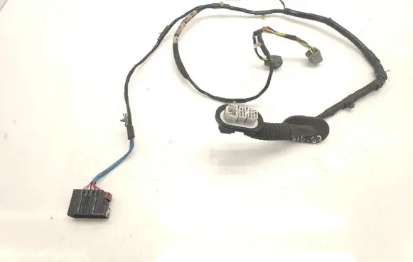 Rear door wiring loom