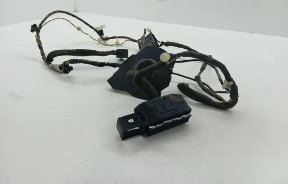 Front door wiring loom