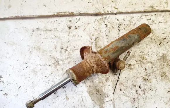 Peugeot 406 Front shock absorber/damper