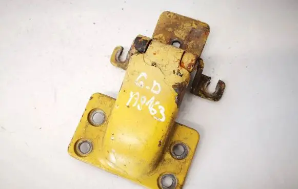 Rear door lower hinge