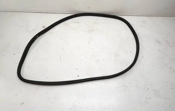 BMW 3 F30 F35 F31 Front door rubber seal 7258312