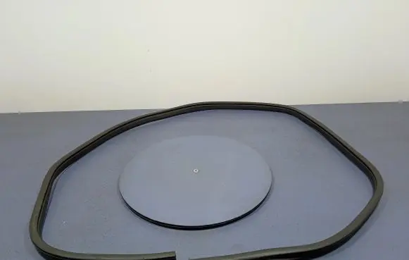 Ford Kuga II Front door rubber seal 