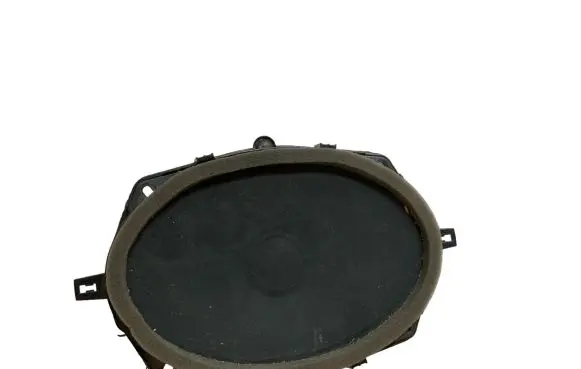 Chrysler Pacifica Rear door speaker 68272200AB 8943010302B 36670D