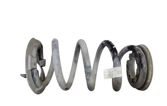 Tesla Model Y Rear coil spring 118847400B