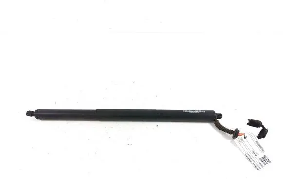 Tailgate strut