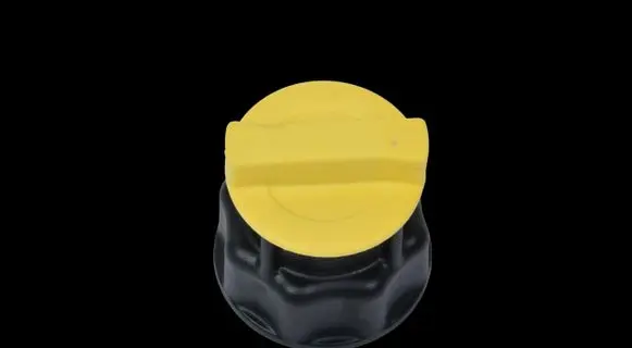 Iveco Daily 6th gen Oil filler cap 5802576974