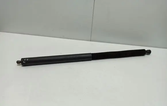 Tailgate strut