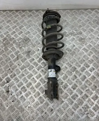 MG ZS Front shock absorber with coil spring 20211008 11144079F77 824903019848
