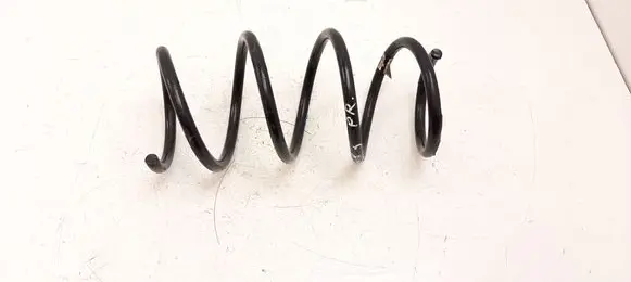 Front coil spring