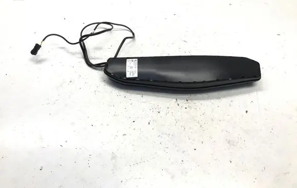 BMW X1 U11 Seat airbag 5A3D177
