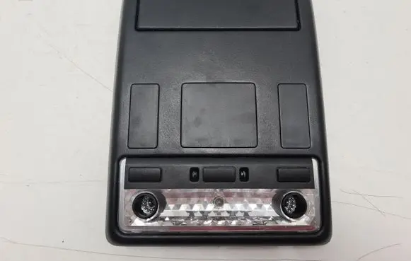 BMW X5 E53 Front seat light 514482580579 514482580629