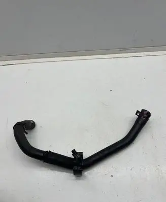 Dacia Spring Engine coolant pipe/hose 295M10481R 210101AB219