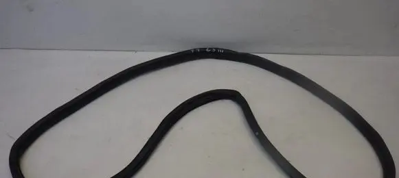 Citroen C3 Rubber seal rear door 9813059680
