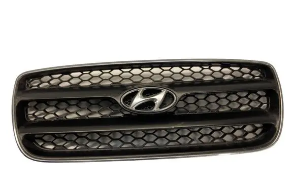 Hyundai Santa Fe Front bumper upper radiator grill E86562B000
