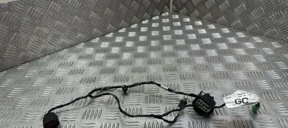 Ford S-MAX Front door wiring loom AG9T14A631EC