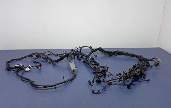 Porsche Panamera (970) Other wiring loom 0P2971595
