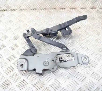 BMW 7 F01 F02 F03 F04 Engine bonnet/hood hinges 7250806