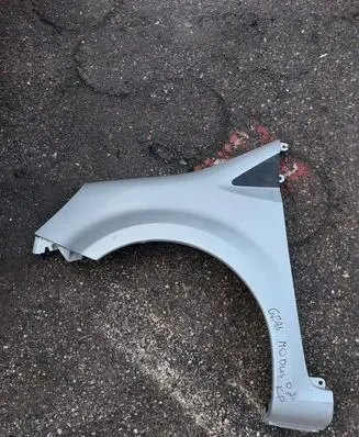 Renault Grand Modus Fender