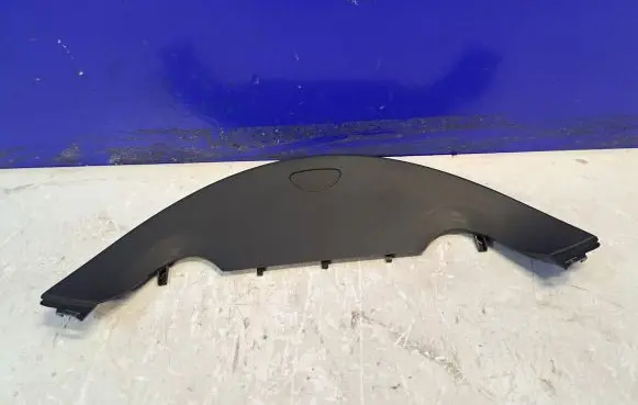 Dashboard trim