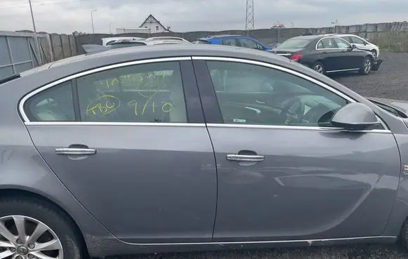 Opel Insignia A Front door