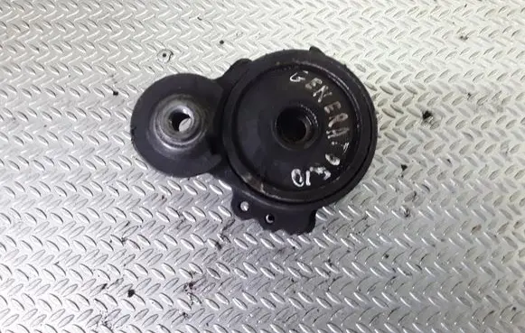 Citroen C5 Generator/alternator belt tensioner