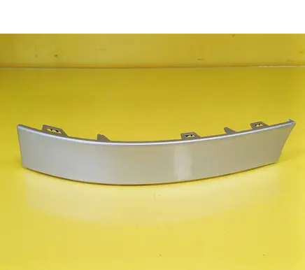 Rear/tail light trim molding