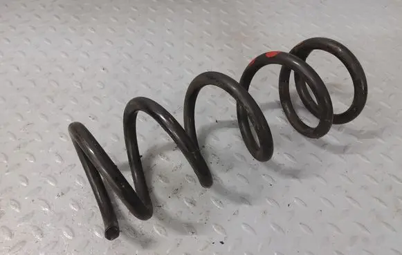 Nissan Murano Z51 Rear coil spring 550201AT0A