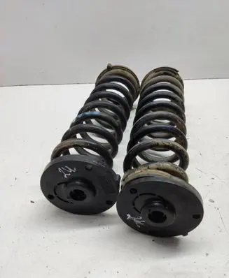 Rear coil spring