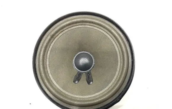 Front door speaker