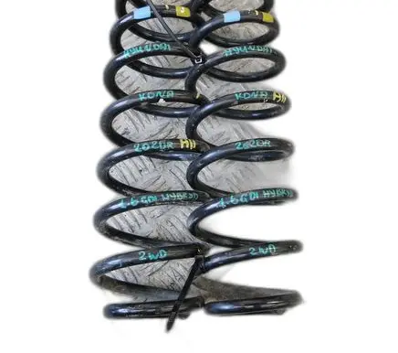 Hyundai Kona I Rear coil spring 