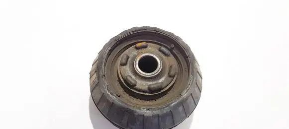 Coil spring mount
