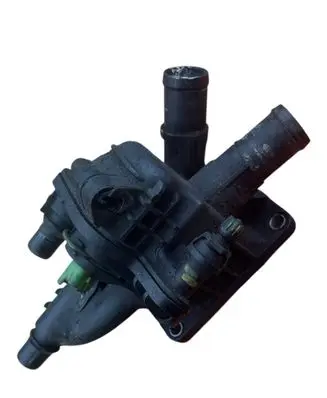 Thermostat/thermostat housing