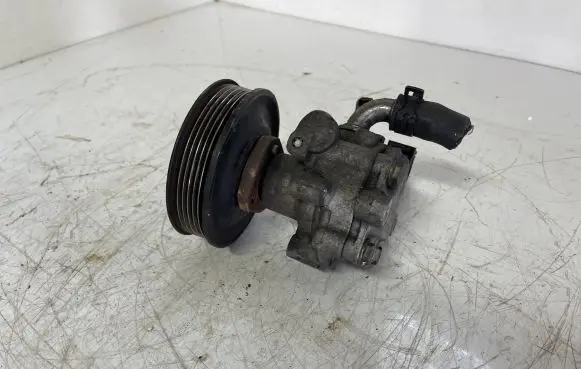 Volkswagen Golf IV Power steering pump 130422154