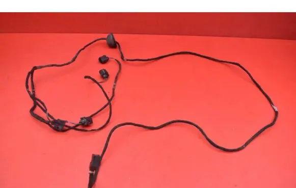 Other wiring loom