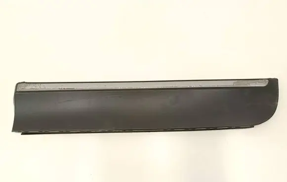 Rear door trim (molding)